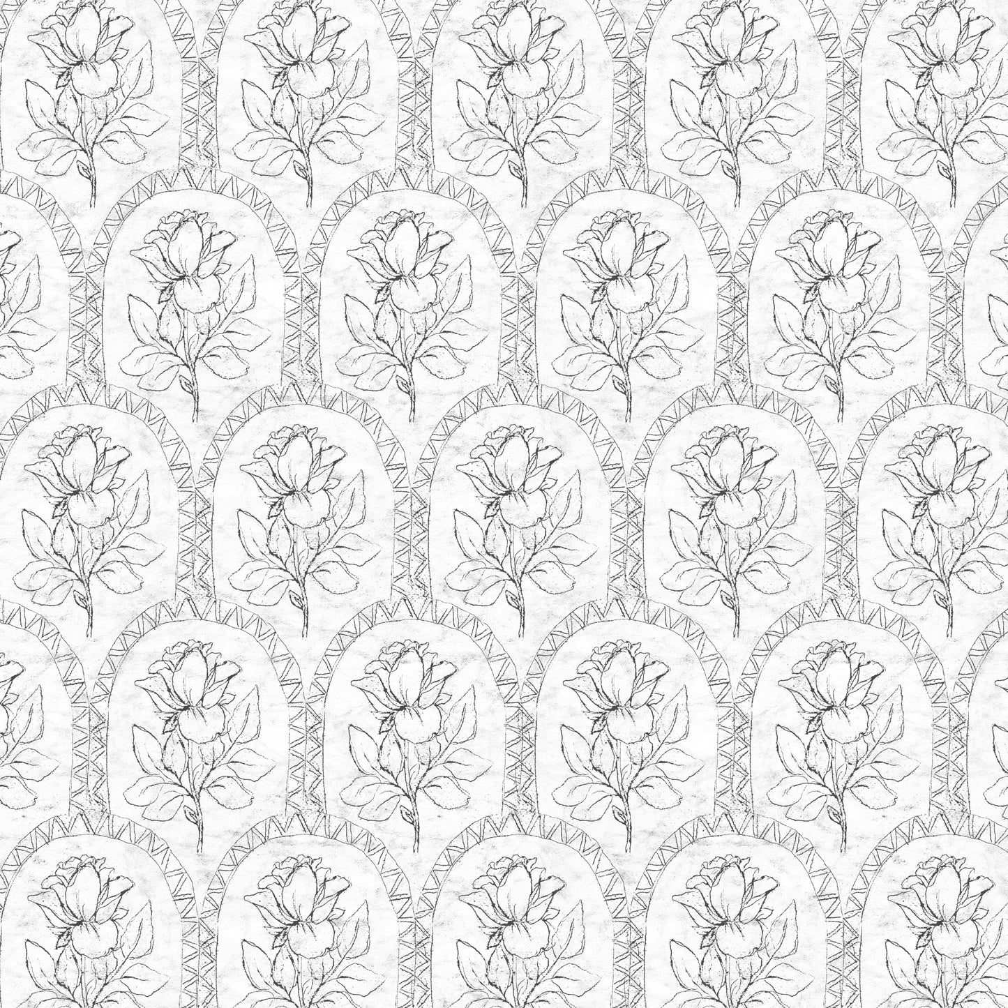 Rose Lineage - Antique Line Art - Black Grey