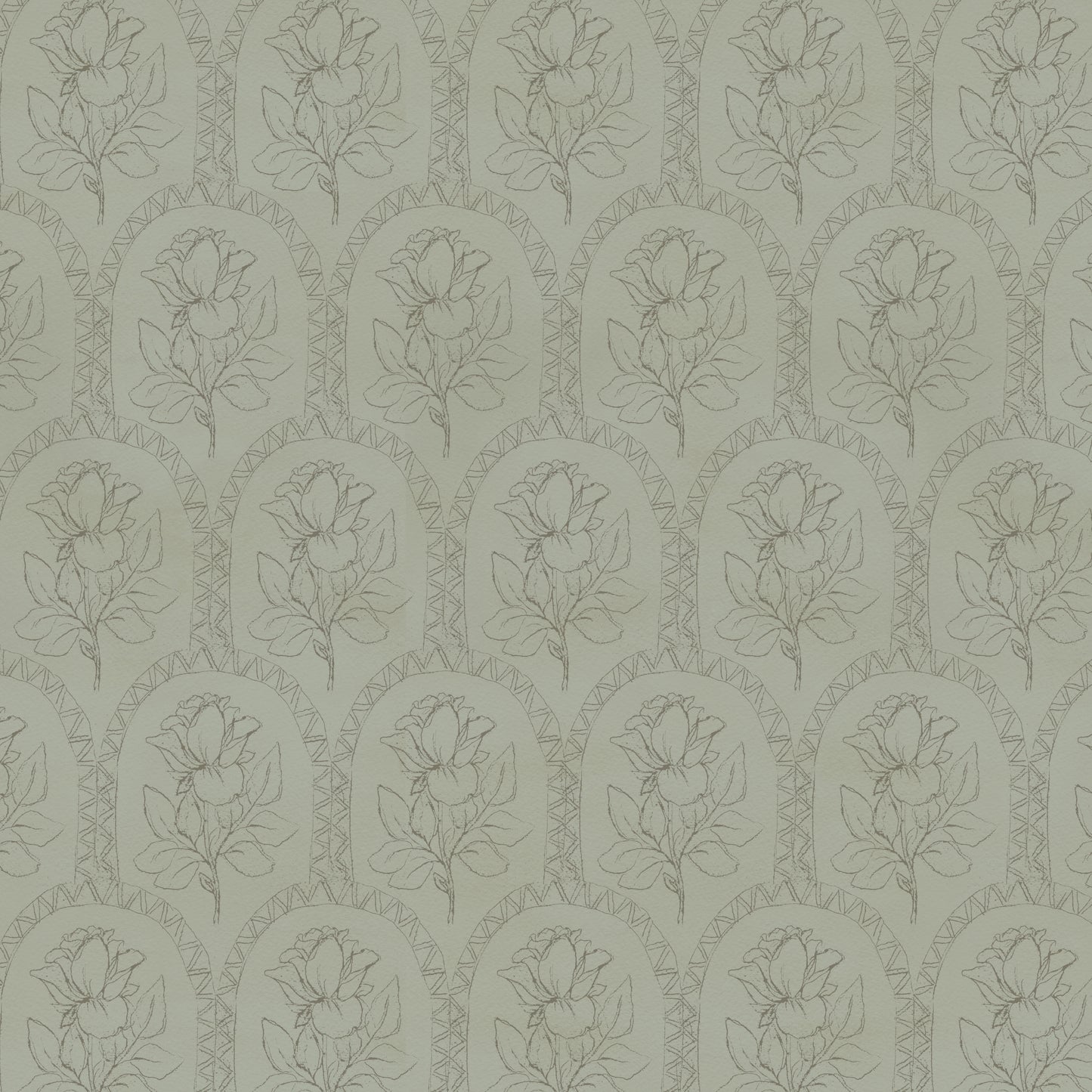 Rose Lineage - Antique Line Art - Sage Green