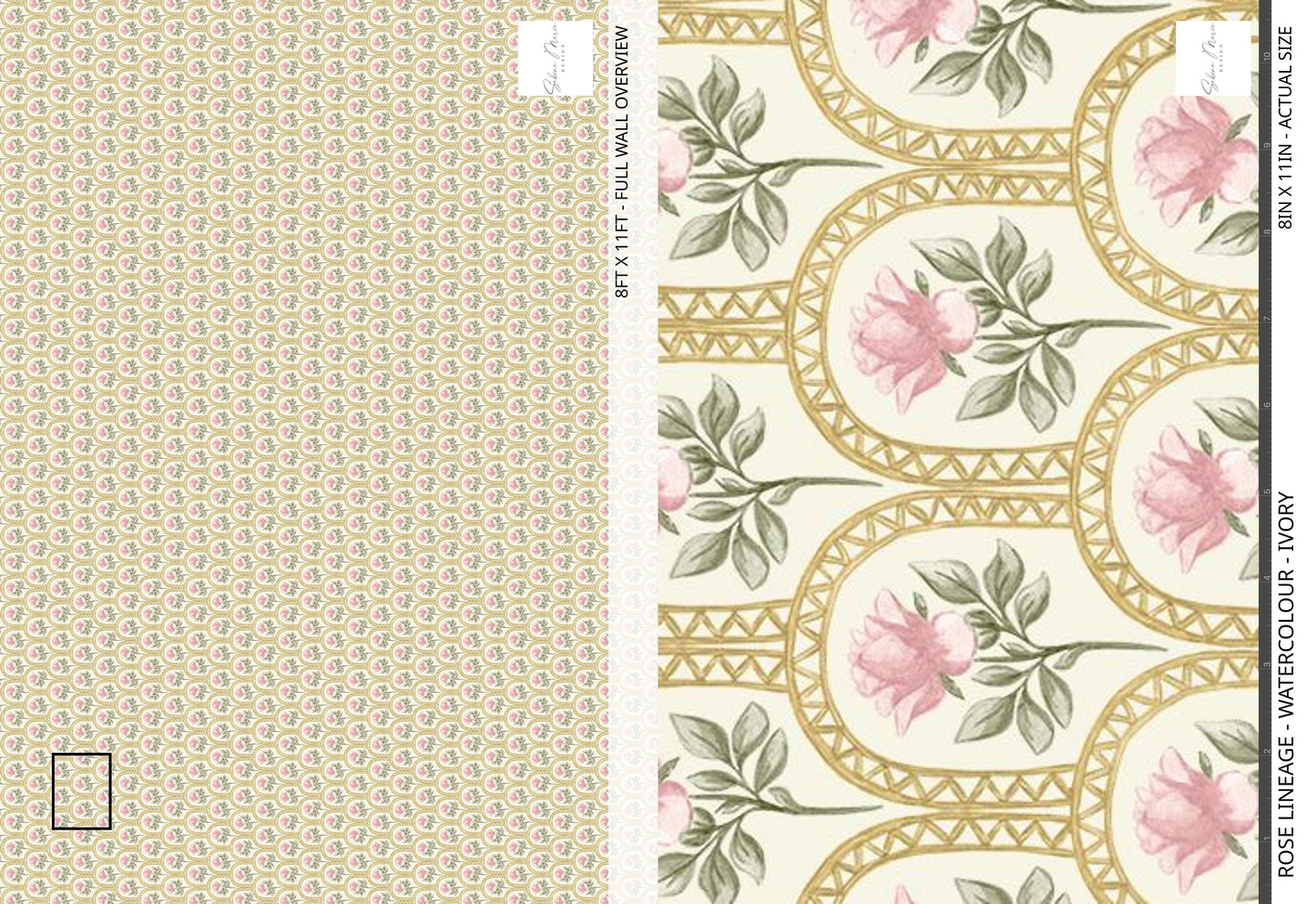 Rose Lineage - Watercolour - Ivory