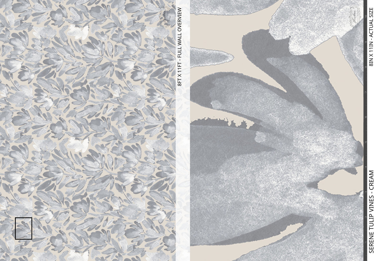 Serene Tulip Vines - Cream