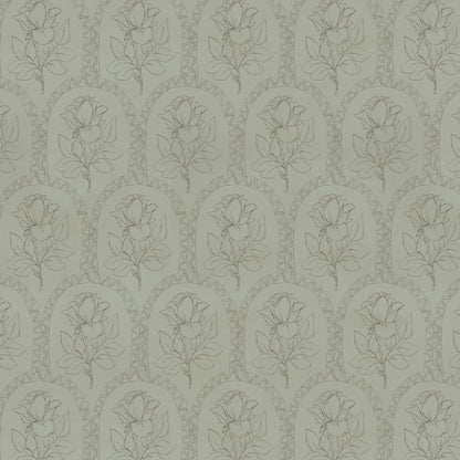 Rose Lineage - Antique Line Art  - Sage Green