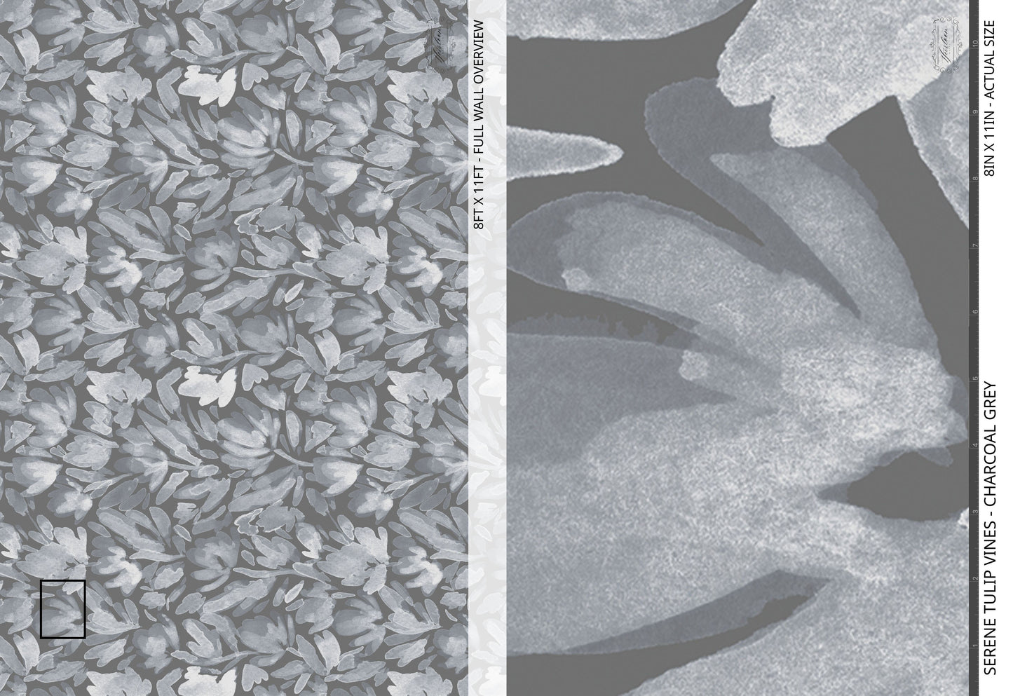 Serene Tulip Vines - Charcoal Grey
